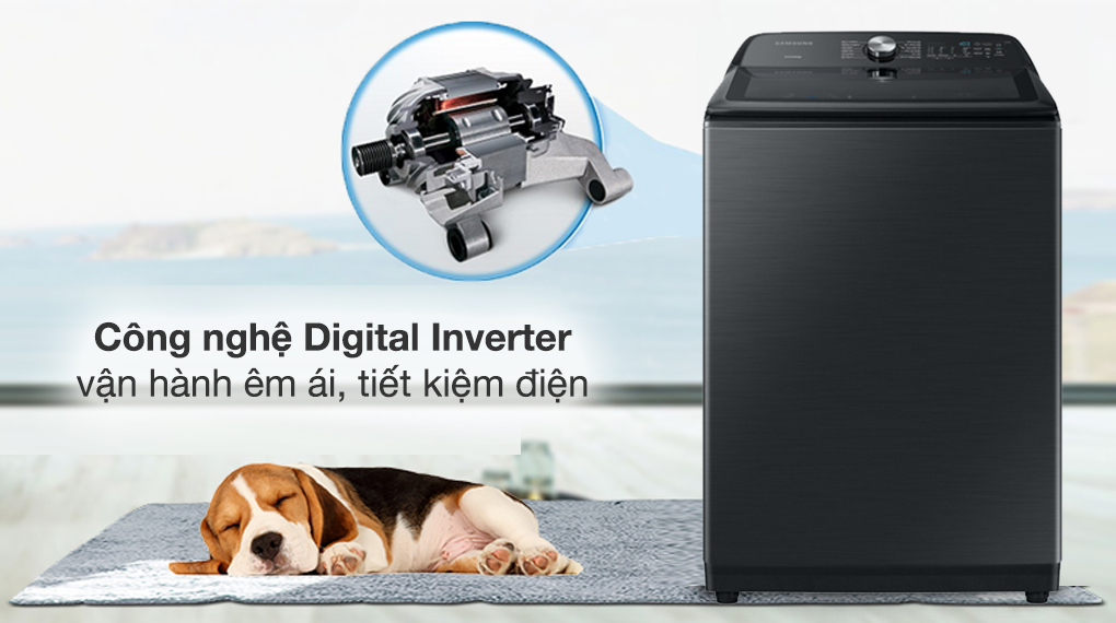 Máy Giặt Samsung Inverter 23 kg WA23A8377GV Máy Giặt Samsung Inverter 23 kg WA23A8377GV