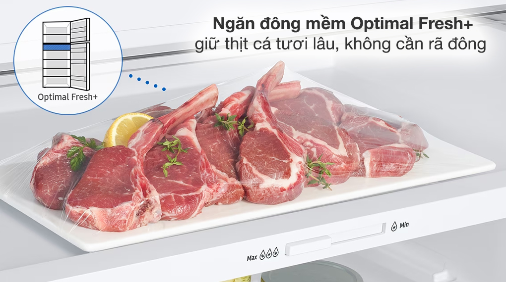 Tủ lạnh Samsung Inverter 382 lít RT38CG6584B1SV Tủ lạnh Samsung Inverter 382 lít RT38CG6584B1SV