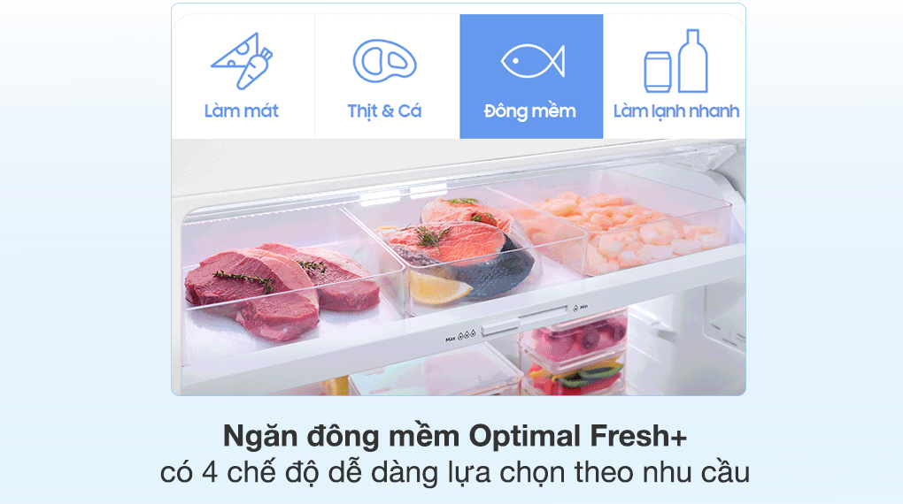 Tủ lạnh Samsung Inverter 406 lít RT42CG6584B1SV Tủ lạnh Samsung Inverter 406 lít RT42CG6584B1SV