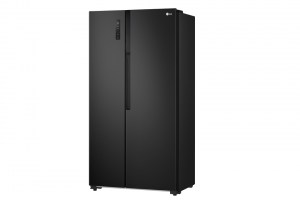 Tu Lanh Lg Inverter 519 Lit Gr B256bl