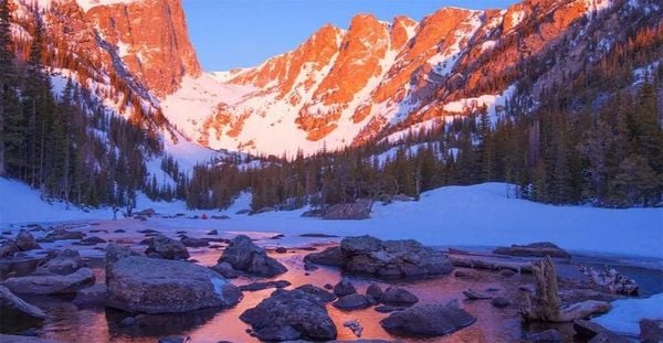 Google Tivi TCL 4K 55 inch 55P745 Google Tivi TCL 4K 55 inch 55P745