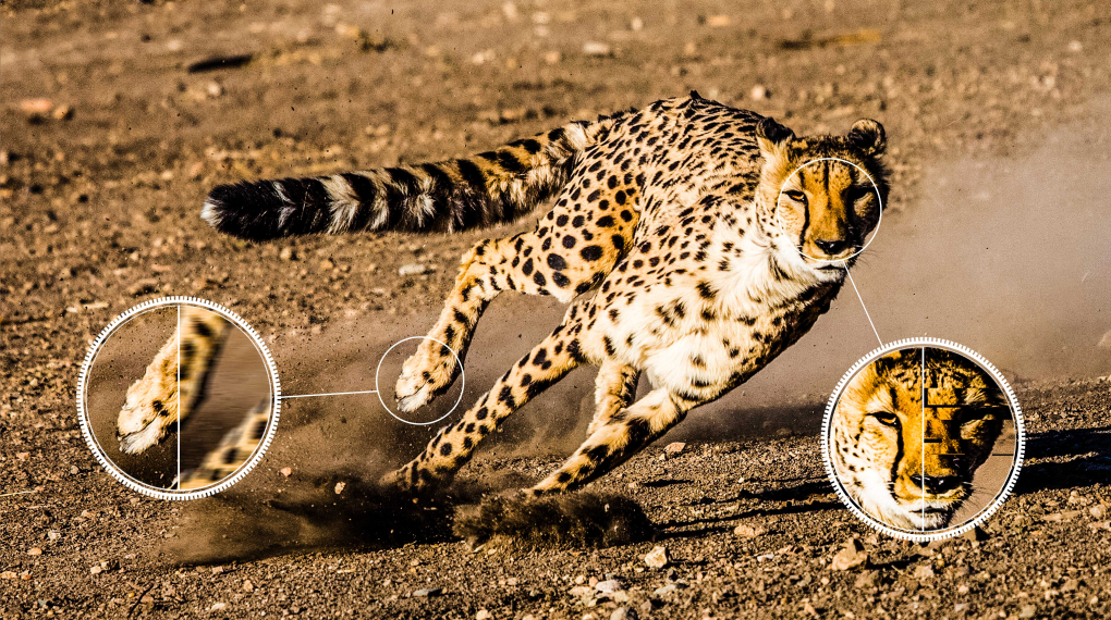 Google Tivi MiniLed QLED TCL 4K 65 inch 65C845 Google Tivi MiniLed QLED TCL 4K 65 inch 65C845