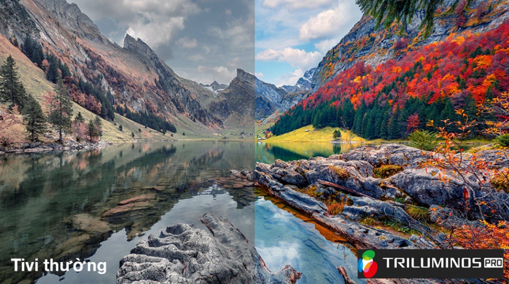 Google Tivi Sony 4K 43 inch K-43S30 Google Tivi Sony 4K 43 inch K-43S30