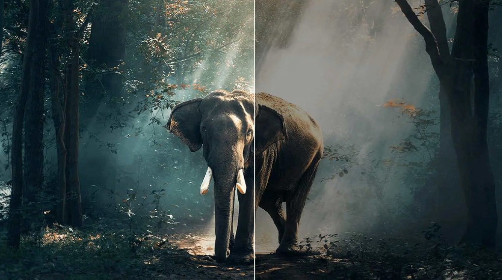 Google Tivi QLED TCL 4K 55 inch 55C69B Google Tivi QLED TCL 4K 55 inch 55C69B