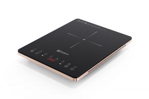 Bếp từ đơn RICHBORN RI3528 D17G