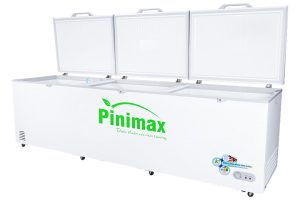 Tủ đông Pinimax 1100 lít PNM 119AF