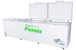 Tủ đông Pinimax 1100 lít PNM 119AF