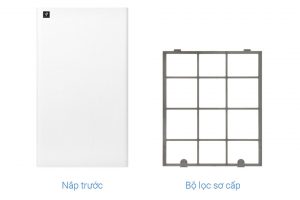 Máy hút ẩm Sharp DW-T30HV-W