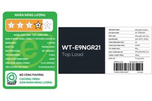 Máy giặt Casper 9 kg WT-E9NGR21