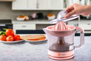 Máy vắt cam Hawonkoo 30W OJH-001-PK