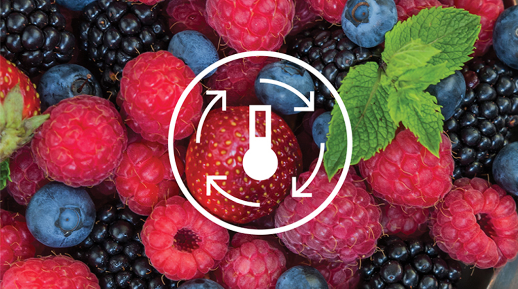 Tủ lạnh Electrolux Inverter 335 lít EBB3742K-H