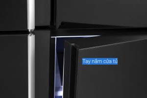 Tu Lanh Sharp Inverter 525 Lit Sj Fxp600vg Bk