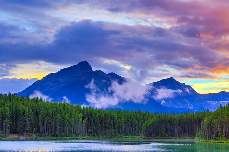 Smart Tivi LG 43 inch 43LM5750PTC