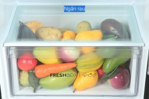 Tu Lanh Aqua Inverter 283 Lit Aqr T299fafb