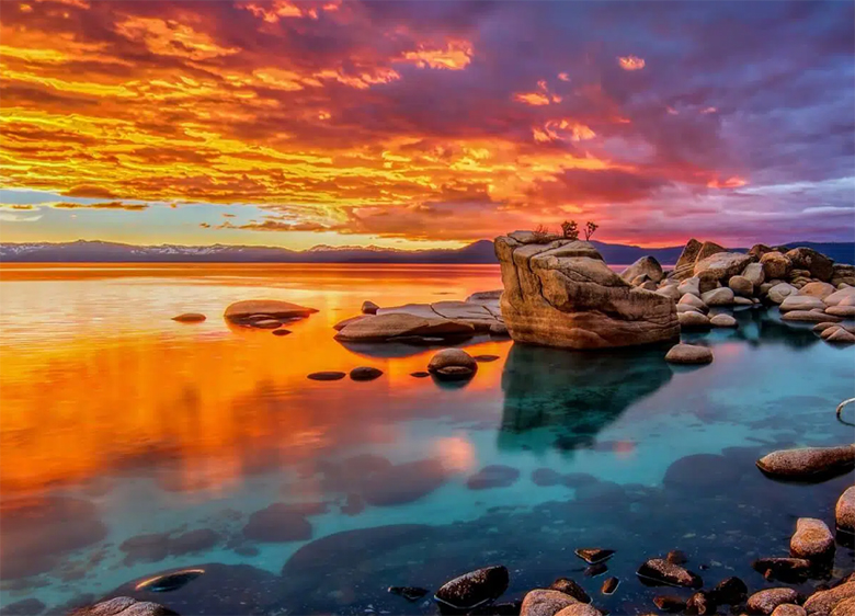 Google Tivi QLED TCL 4K 65 inch 65C635