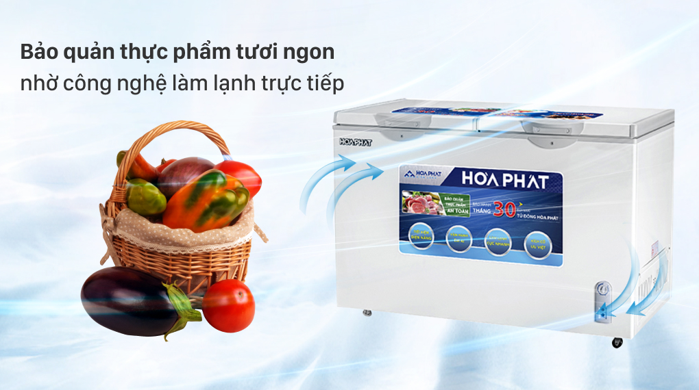 Tủ đông Hòa Phát 352 lít HCF 666S1Đ2