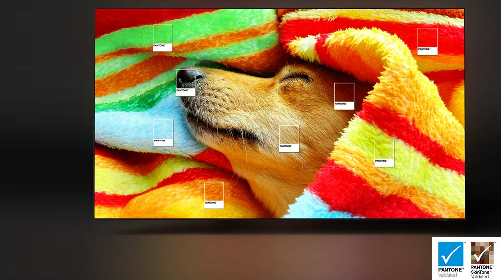 Smart Tivi OLED Samsung 4K 65 inch QA65S95CA