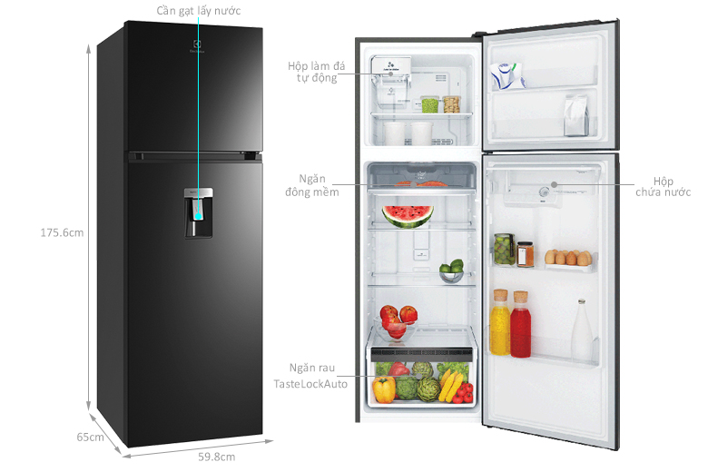 kích thước tu-lanh-electrolux-etb3760m-h
