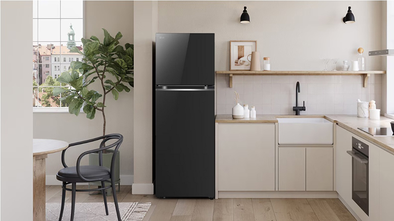 Tủ lạnh LG Inverter 461 lít LTB46BLG - Thiết kế sang trọng và tiện lợi