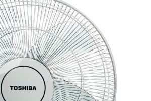 Quạt cây Toshiba 5 cánh F-LSA10(H)VN 50W