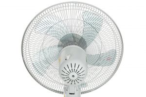 Quạt cây Toshiba 5 cánh F-LSA10(H)VN 50W