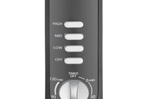 Quạt cây Toshiba 5 cánh F-LSA10(K)VN 50W