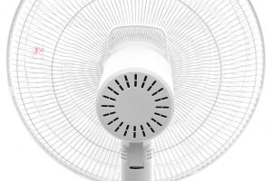 Quạt cây Toshiba 9 cánh DC inverter F-LSD10(W)VN 30W