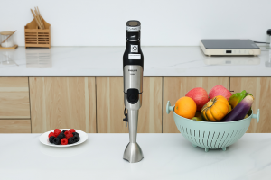 Máy xay cầm tay Philips HR2685/00