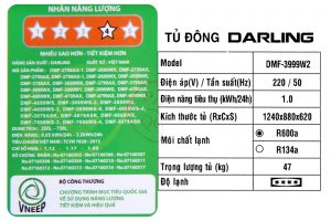 Tủ đông Darling 260 lít DMF-3999W2