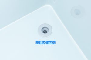 Tủ đông Darling smart 450 lít DMF 4799AS