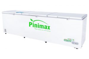 Tủ đông Pinimax Inverter 1300 lít PNM139AF3