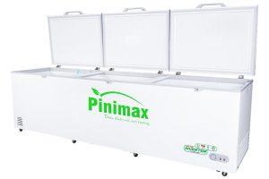 Tủ đông Pinimax Inverter 1300 lít PNM139AF3