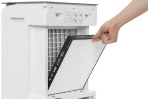 Máy hút ẩm Sharp DW-T30FV-W