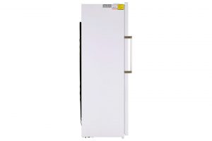 Tủ đông đứng Alaska 310 lít IF 290N