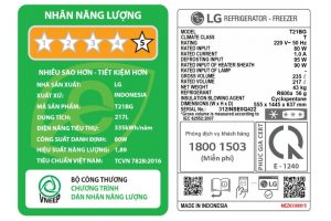 Tủ lạnh LG Inverter 217 lít T21BG