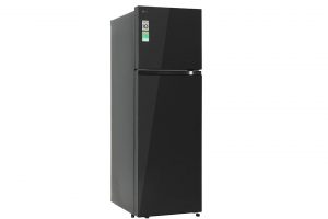 Tủ lạnh LG Inverter 266 lít T26BG