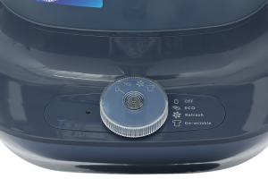 Bàn là hơi nước đứng Electrolux E5GS1-44MN 1800W