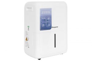 Máy hút ẩm Kangaroo KGDH30G